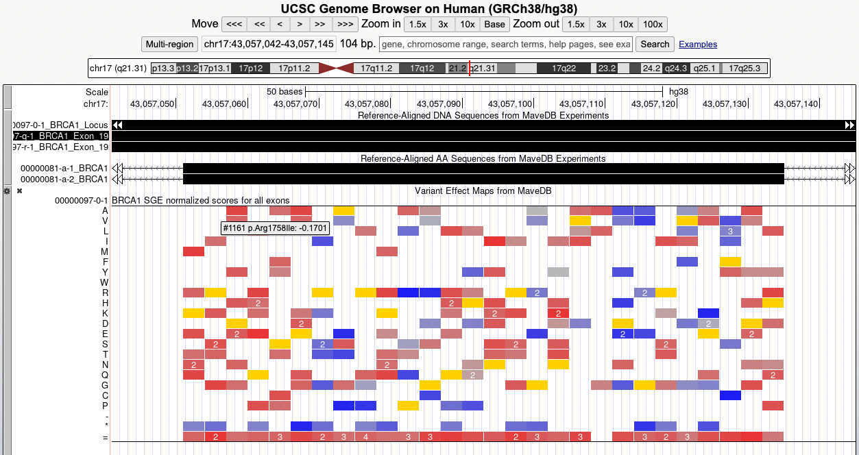 MaveDB heatmap and alignment tracks for the BRCA1 exon 19